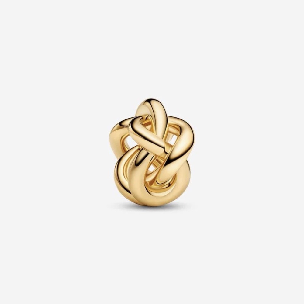 Pandora - Infinity Knot Charm
14k Gold-plated unique metal blend